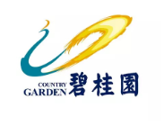 迎江碧桂园地产